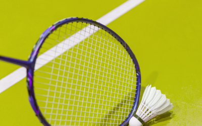 Badmintonový turnaj singly